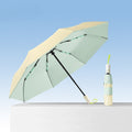 Section, Automatic Folding Umbrella, Small Fresh Umbrella, And
